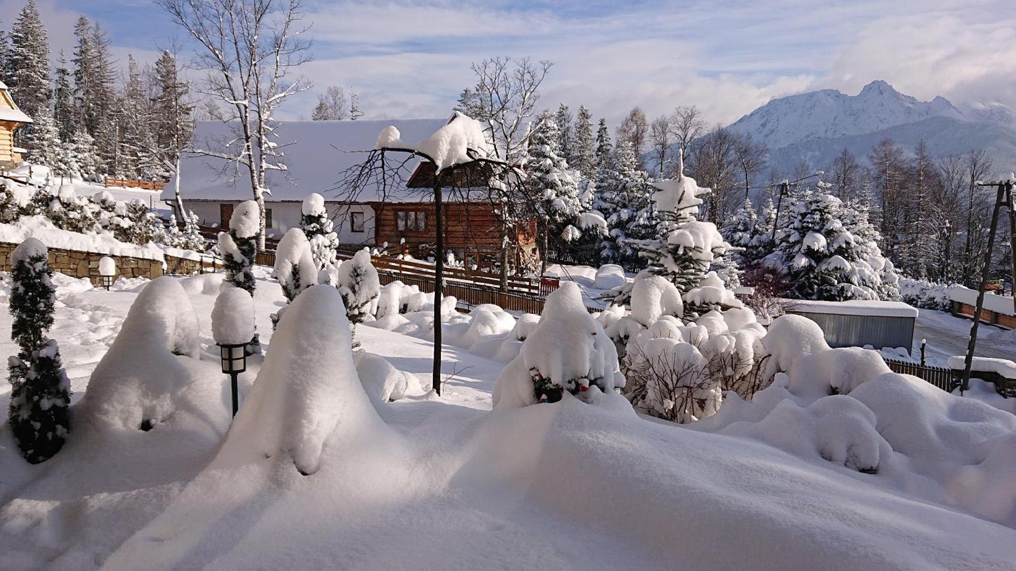 Apartmán Apartament Z Widokowym Tarasem Na Tatry Kościelisko Exteriér fotografie